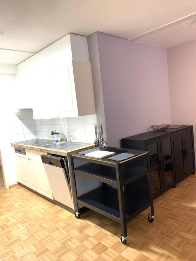 Xl City Center Apartment-Contactless Check-In บาเซิล ภายนอก รูปภาพ